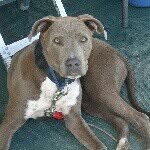 Maximus - @maximus_barker - Instagram