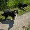 Bartoniousmaximus - @bartoniousmaximus - TikTok