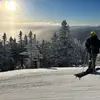 Max - @maximus_bauer - TikTok
