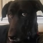 Max Bell - @maximus_bell71103 - Instagram