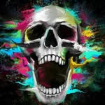 max - @maximusbell304 - Instagram
