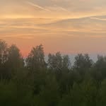 Max - @maximusbell_204 - Instagram