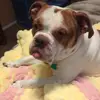 @MaximusBellyFreckles - @maximusbellyfreckles - TikTok