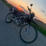 2WheeledWalrus - @maximus_bergeron - Instagram