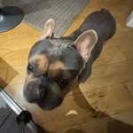 Maximus berry - @maximusberry1 - Instagram