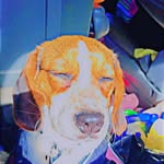 max - @maximus._.blake - Instagram