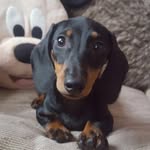 MaximusBlakemore - @maximusblakemore - Instagram