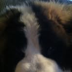 Maximus Boone - Facebook
