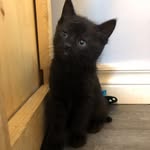 Max - @maximus.bowman - Instagram