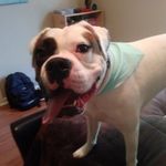 Maximus Bowman - @max_man_214 - Instagram