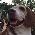Max - @maximus_brown - Instagram