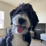 Maximus Brown - @maximus_brown22 - Instagram