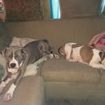 Maximus Brown Richards - @maximus_brown_richards - Instagram