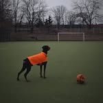 Maximus Browne De La Urraca - @maximus.browne - Instagram