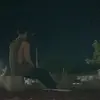 Maximus Caro - @maximuscaro - TikTok