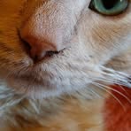 Maximus Carroll - Facebook