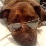 Maximus Carroll - Facebook