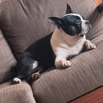 Maximus Castillo - @don_maximus_castillo - Instagram