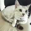 Max - @maximus.chan - TikTok