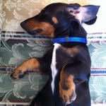 Max - @maximus_chang - Instagram