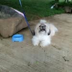 Maximus Chavez - @maximus.chavez.1 - Instagram