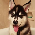 Maximus Collins - @maximuscollins - Instagram