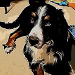 Max Scott - @maximus.cooper.scott - Instagram