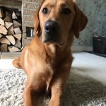 Maximus Cooper - @maximus14_ - Instagram