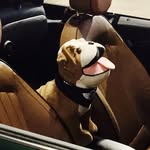 Maximus Cooper - @maximus_thecooperbully - Instagram