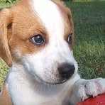 Maximus Davis - Facebook