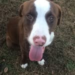 maximus davis - @maximus1342_ - Instagram