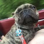 Maximus Davis - @maximusdavis_29 - Instagram