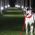 Maximus Duran - Facebook