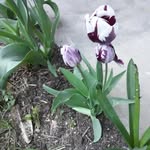 Maximus Edwards - @maximus.edwards.79 - Instagram