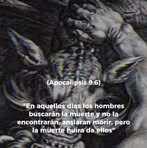 Ande Fox Maximus - Facebook