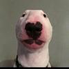 Maximus Frederick905 - @followmemadmax - TikTok