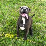 Maximus Builtbeast Garza - @maxbuiltbeastgarza_ - Instagram