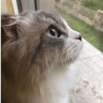 maxgray - @maximusgray - Instagram