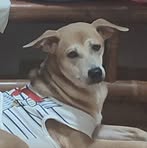 Maximus Gray - Facebook