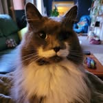 @the_earl_maximus_gray - Instagram