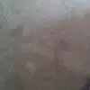 kkkkhgf6h - @maximusgreen0 - TikTok