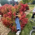 max green - @maximus_green0 - Instagram
