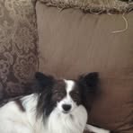 Maximus Green - Facebook