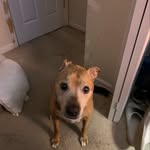 Maximus Green - @mystrosis - Instagram