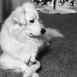 Maximus Greenhill - @maximusgreenhill - Instagram