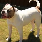 Maximus Grimes - Facebook