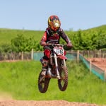 Maximus - @maximushall66 - Instagram