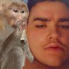 Maximus Hall - @maxta_life - TikTok
