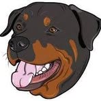 Maximus Harding - Facebook