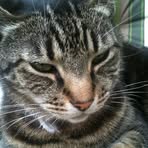 Maximus Harding - Facebook